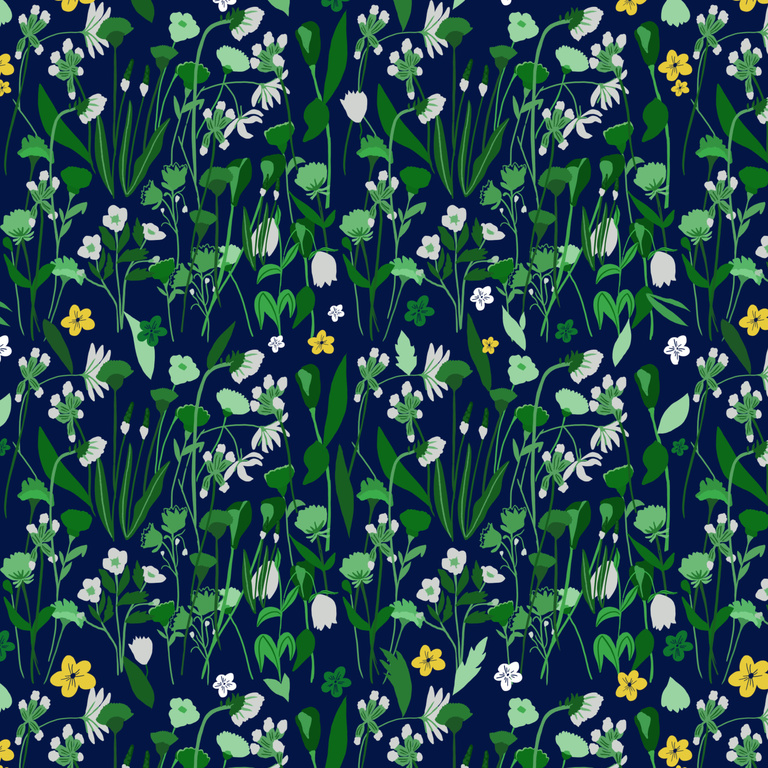 Cassandre Montoriol - Green Coloured Meadow